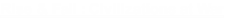 Rise & Fall : Civilizations at War

