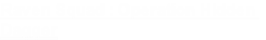 Raven Squad : Operation Hidden 
Dagger
