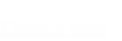 Fighting force
